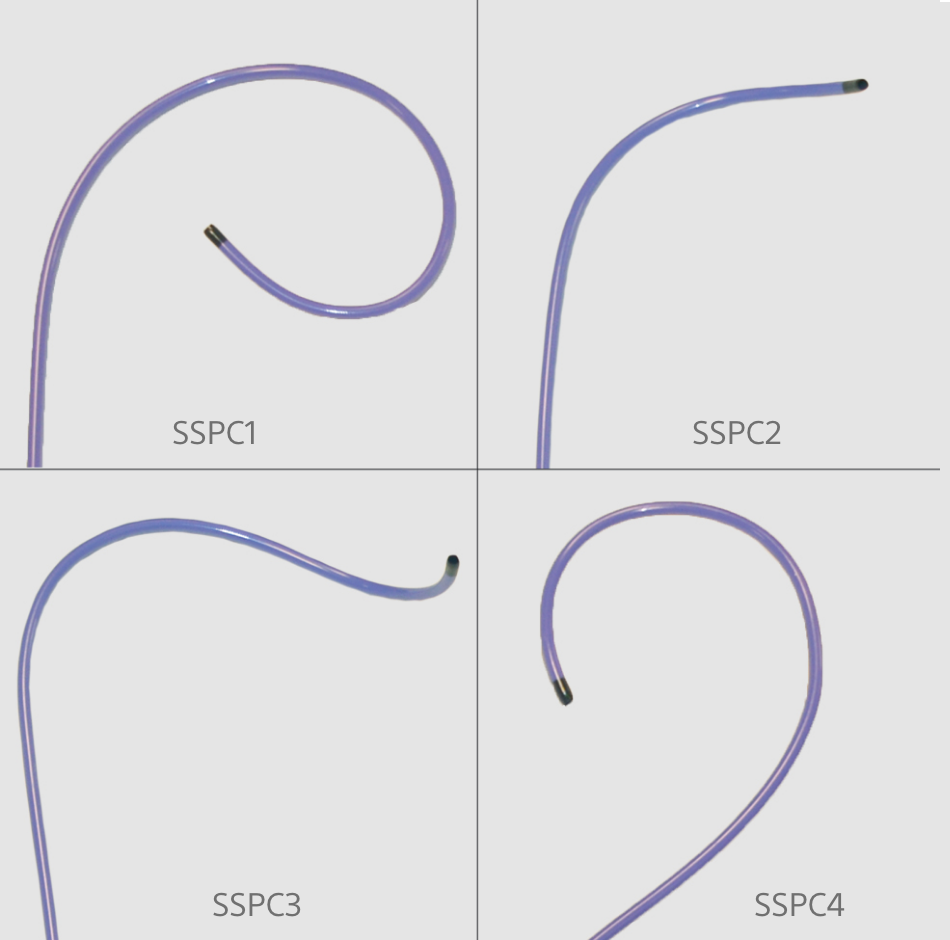 Site Selective Pacing Catheters Boston Scientific
